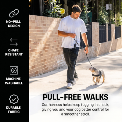 No Pull Chest Harness
